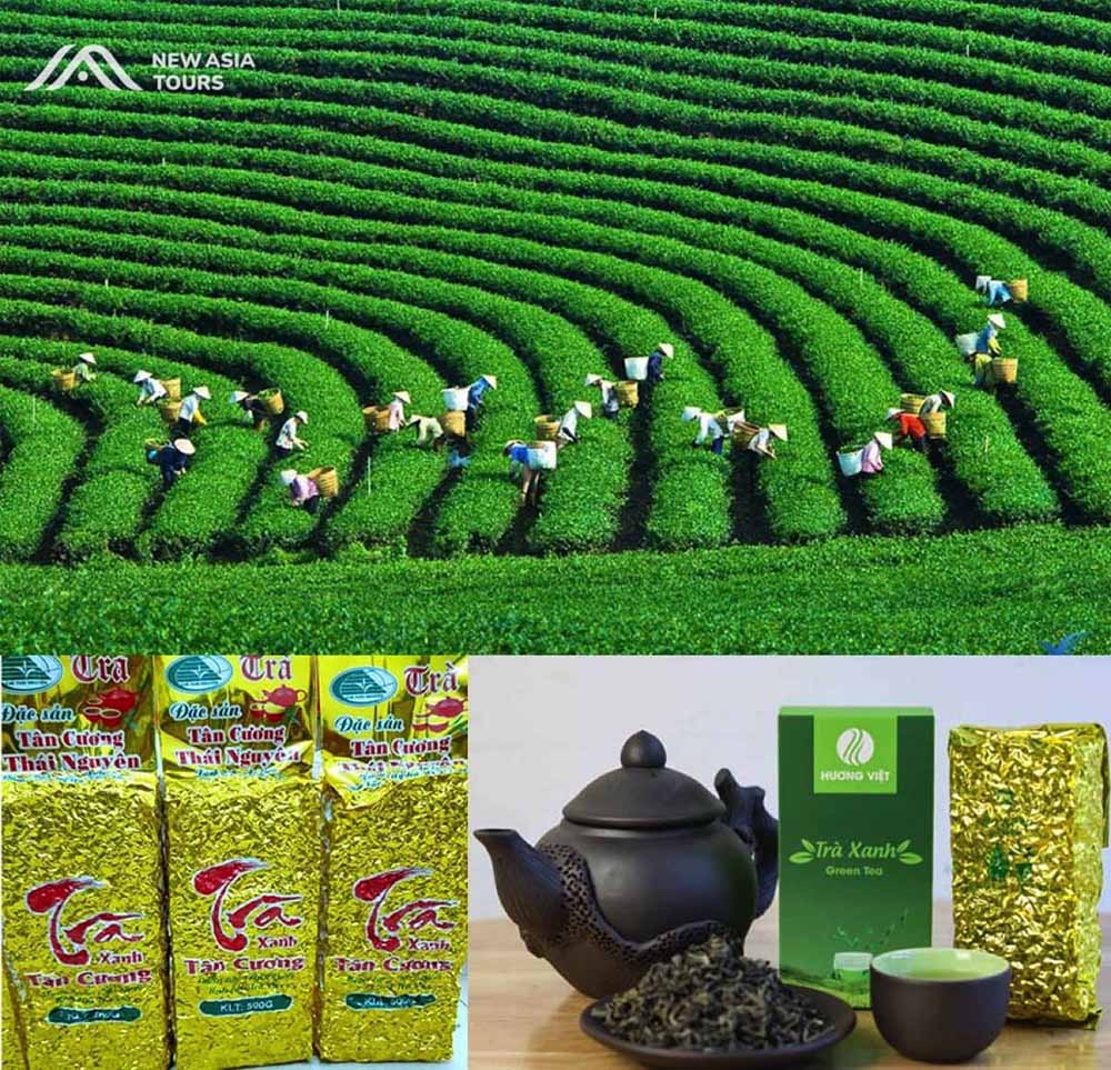 Vietnamese green tea - what can we buy in vietnam
